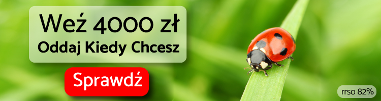 Karta Trzynastka na raty - reklama